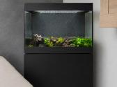 Akvariumas Oase - nuotraukos Nr. 2