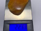 Gražus Gintaras 64 gr. - nuotraukos Nr. 5