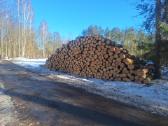 Biokuro gamyba, krūmų kirtimas - nuotraukos Nr. 11