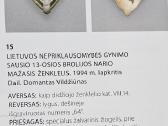 TV bokšto gynėjų apdovanojimai. - nuotraukos Nr. 5