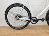 Rose Sneak Plus Eq 28er L 2024 - nuotraukos Nr. 2