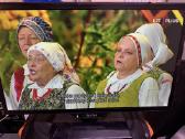 19" Star TV