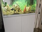 Aquael akvariumas 120l