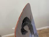 Sling wakeboard lenta - nuotraukos Nr. 6