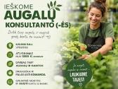 Medelynas Ieško Pardavėjo (-OS) – Konsultanto