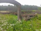 Parduodama 76 arų sodybvietė prie miško - nuotraukos Nr. 4