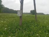 Parduodama 76 arų sodybvietė prie miško - nuotraukos Nr. 5