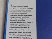 Kai liūdesys tave aplanko. . - nuotraukos Nr. 2