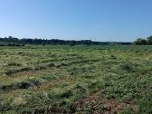 Medžių pjovimas, genėjimas, žolės pjovimas - nuotraukos Nr. 23