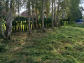 Medžių pjovimas, genėjimas, žolės pjovimas - nuotraukos Nr. 24