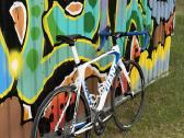 Plentinis dviratis - Giant Tcr Advanced 3 - nuotraukos Nr. 3