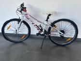 Scott contessa 24 dviratis
