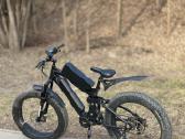 Beaster Fatbike dviratis su Bagang varikliu - nuotraukos Nr. 2
