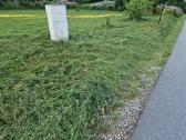 Žolės pjovimas, teritorijų priežūra - nuotraukos Nr. 3