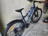 Kalnų dviratis Bergamont Revox (MTB) M Dydis