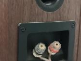 2vnt. Dali Spektor 1 kolonėlės - nuotraukos Nr. 5
