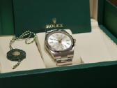 Rolex Oyster Perpetual 41 mm Champagne Naujas 2026