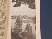 Lithuania Amerikos lietuvių leidinys 1964-65 metai - nuotraukos Nr. 4