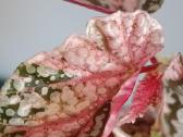 Begonia Snow Capped variegated - nuotraukos Nr. 13