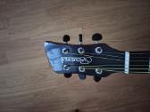 Gitara - nuotraukos Nr. 2