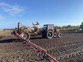 Bargam Gambetti 20m