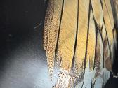 Aliuminio paveikslas 95x100 cm - nuotraukos Nr. 10