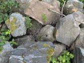 Skaldyti akmenys - nuotraukos Nr. 2