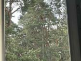 Ilgalaikė 2 k. buto nuoma Druskininkuose - nuotraukos Nr. 2