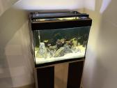 Fluval Roma 90akvariumas