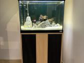 Fluval Roma 90akvariumas - nuotraukos Nr. 2