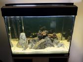 Fluval Roma 90akvariumas - nuotraukos Nr. 13