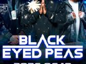 Black Eyed Peas Stovimi 2vnt