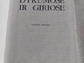 Dykumose ir giriose - nuotraukos Nr. 2