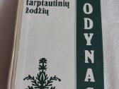 Mokyklinis tarptautinių žodžių žodynas
