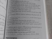 Slibino sugrįžimas - nuotraukos Nr. 6