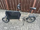 Muli Muskel Cargo Alfine 11 Gates Belt