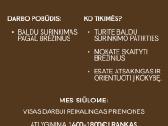 Ieškome Baldų Surinkėjo.