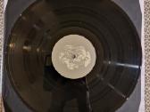 Coltaine - Forgotten Ways / Vinyl Lp - nuotraukos Nr. 4