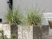 Parduodu du betoninius vazonus 50cm - nuotraukos Nr. 2