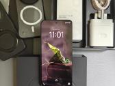 Vivo X200 Pro Mini