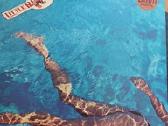 Keletas Lp Pop Rock ir . - nuotraukos Nr. 29