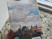 Mergina su perlo auskaru Tracy Chevalier - nuotraukos Nr. 5