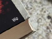 Paulo Coelho Nugalėtojas lieka vienas - nuotraukos Nr. 10