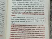 Paulo Coelho Nugalėtojas lieka vienas - nuotraukos Nr. 15