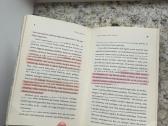 Paulo Coelho Nugalėtojas lieka vienas - nuotraukos Nr. 16