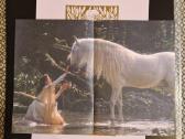 Romance – Over The Hills & Far Away / Vinyl Lp on - nuotraukos Nr. 6