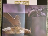 Romance – Over The Hills & Far Away / Vinyl Lp on - nuotraukos Nr. 9