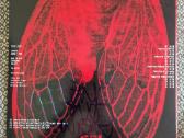 Elucid, Sebb Bash – I Guess U Had To Be There / Lp