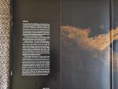 Hania Rani - Ghosts / Vinyl 2xlp + Booklet - nuotraukos Nr. 3
