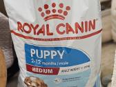 Royal Canin Medium Puppy sausas maistas